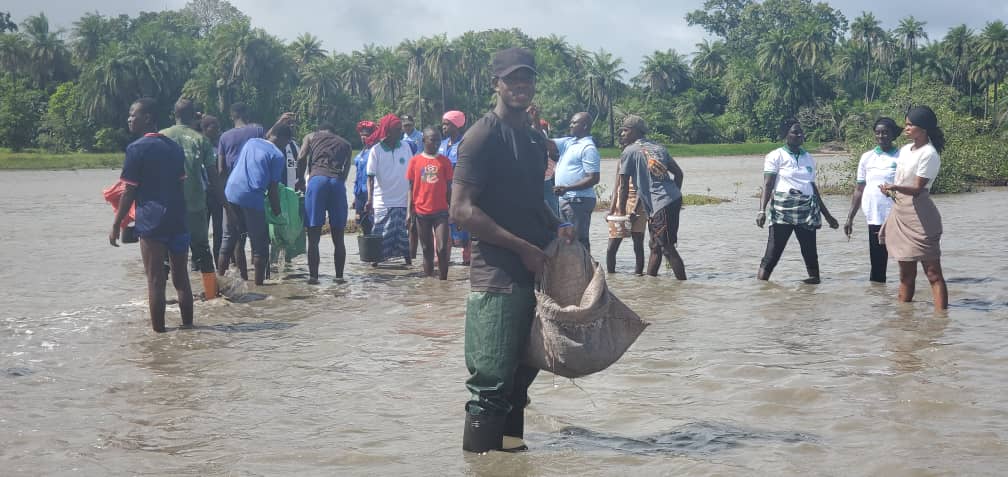 Restauration de mangrove par les membres de l'AFDA