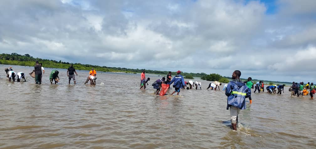 Activité de terrain AFDA